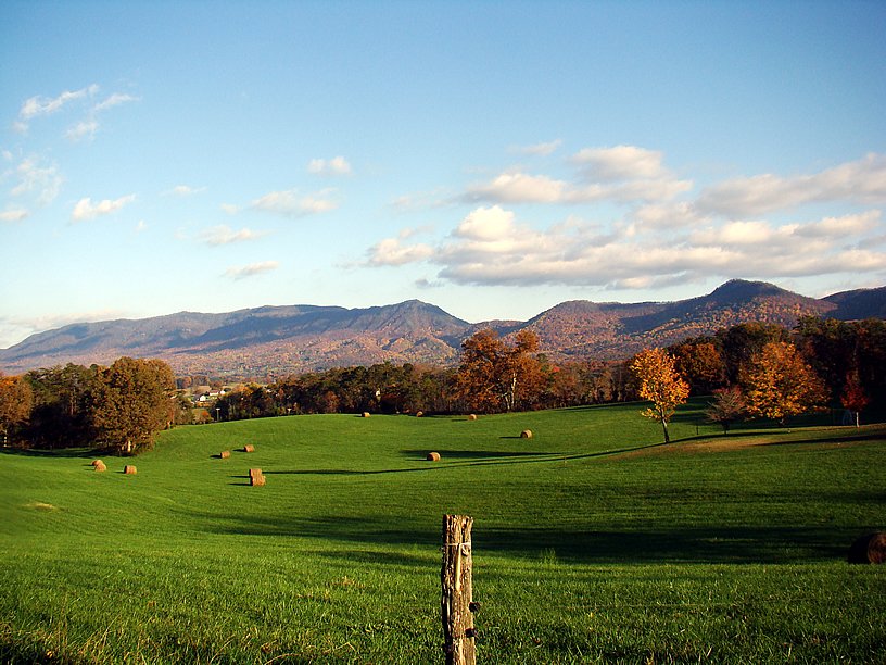 Sevier county bail bonds utah